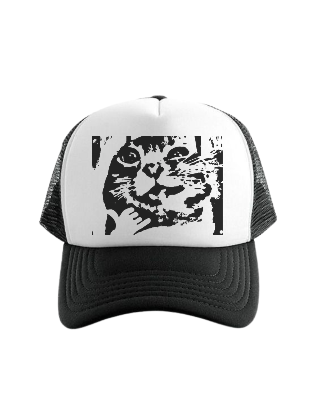 Boné Cat fine