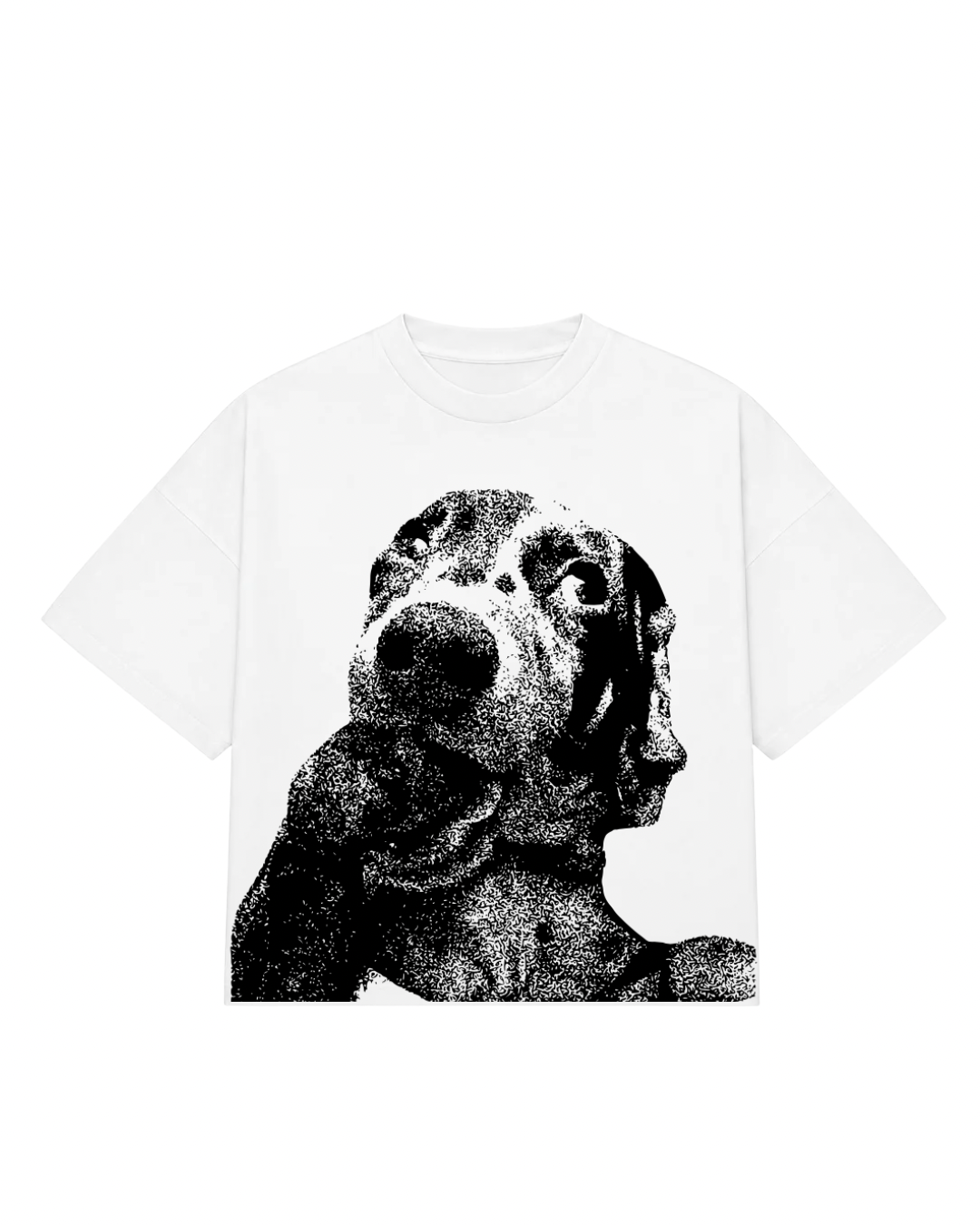 Camiseta num quidito 2.0