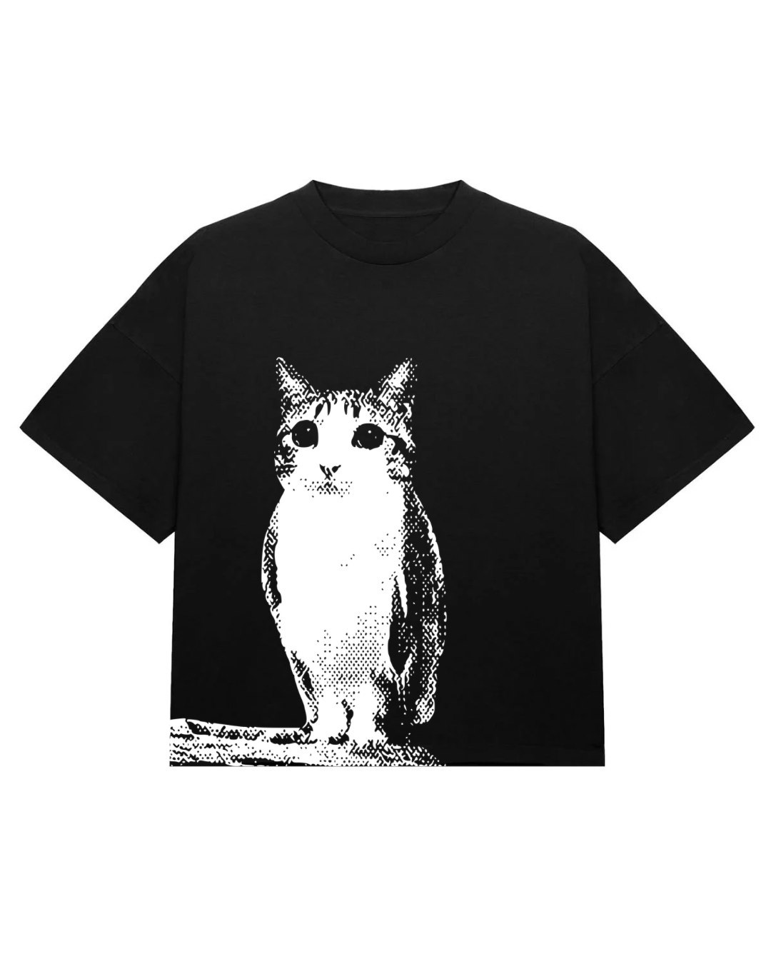 Camisa gato coruja