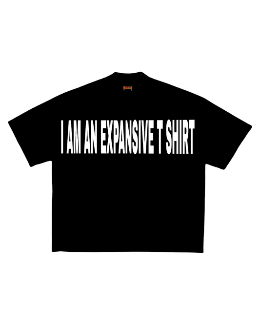 Camisa  i am an expansive t- shirt