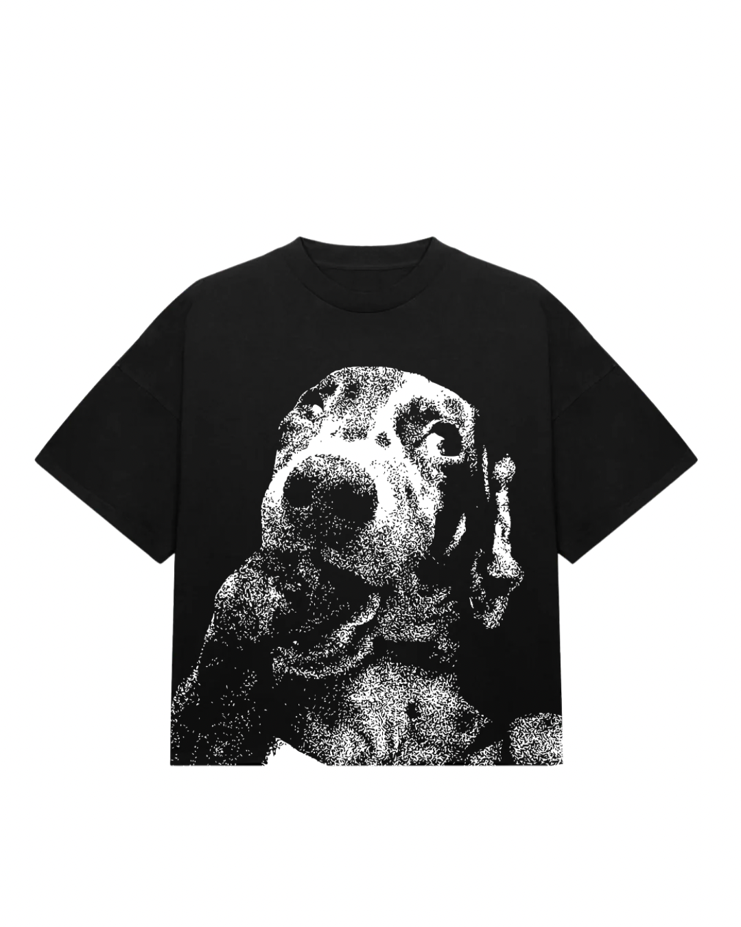 Camiseta num quidito 2.0